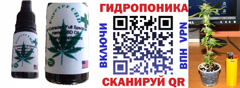 MEGA онион  Выборг  Еда ТГК конопля 