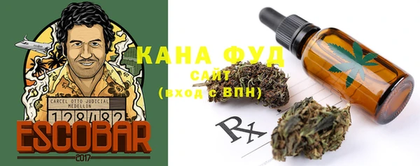PSILOCYBIN Богданович