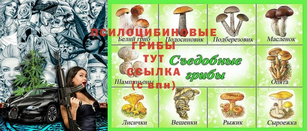 PSILOCYBIN Богданович