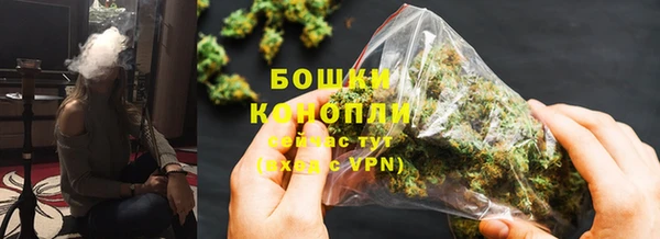 PSILOCYBIN Богданович