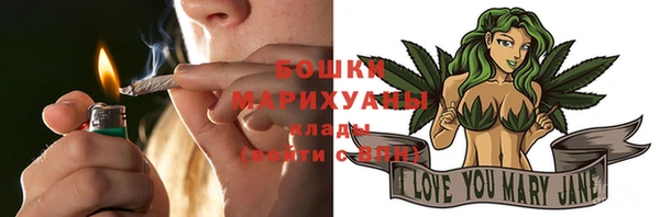 PSILOCYBIN Богданович