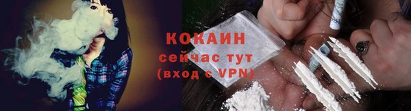 PSILOCYBIN Богданович