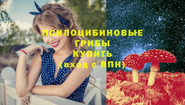 PSILOCYBIN Богданович