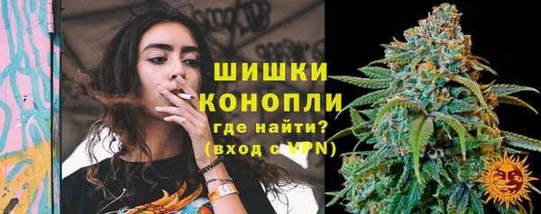 PSILOCYBIN Богданович