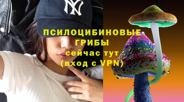 apvp Богородицк