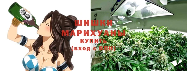 соль ск Богородск