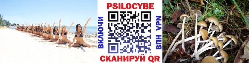 Псилоцибиновые грибы Magic Shrooms купить Выборг